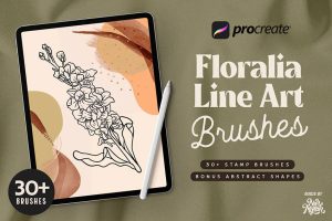 30个线描植物叶子花卉花朵素描procreate笔刷下载