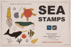 29个海洋动物鲸鱼海豚海龟描边简笔画procreate图案笔刷资源下载